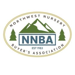 nnba nnba