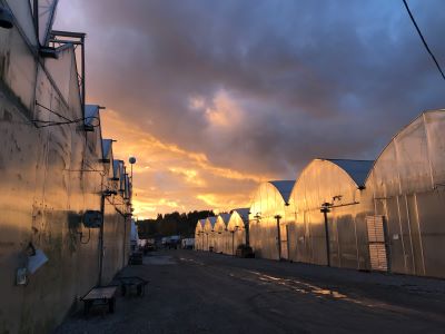 greenhouse exterior
